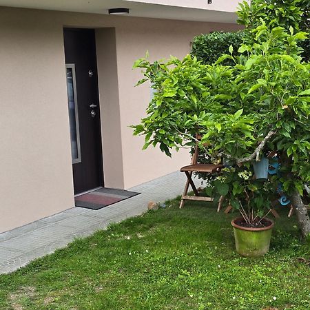 Apartma Liza Trzic Exterior photo
